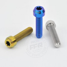 Proti Forged Titanium Rear Plate Mount Bolt Kit for the Indian FTR 1200 / S (2019+)